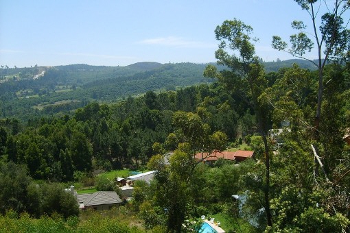 View from the villa