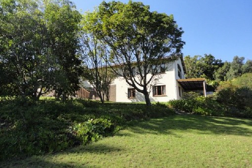 house in Knysna