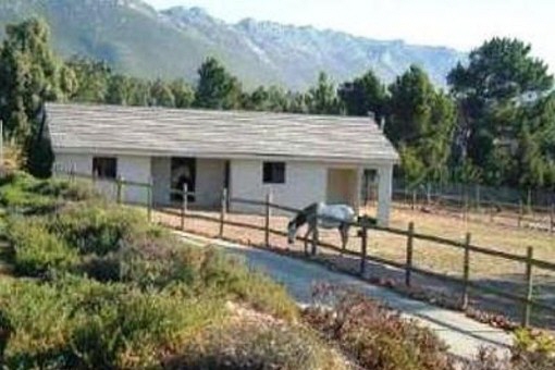 Horse stables
