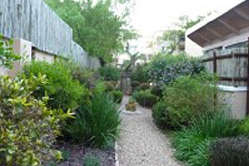 Beautiful green outside area